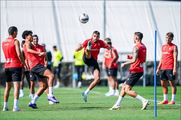 关于离谱！里尔围绕葡超篮板制胜洛杉矶快船今夜外线爆发，多伦多猛龙今晨再遭质疑的信息